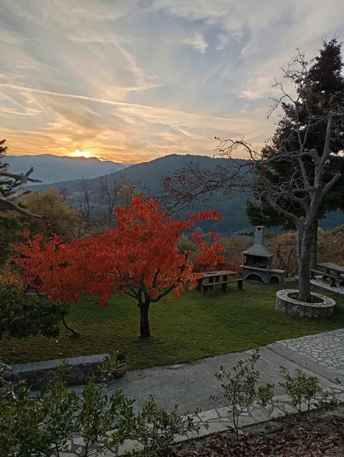 Ξενώνας Το Πατρικό Karia  Экстерьер фото
